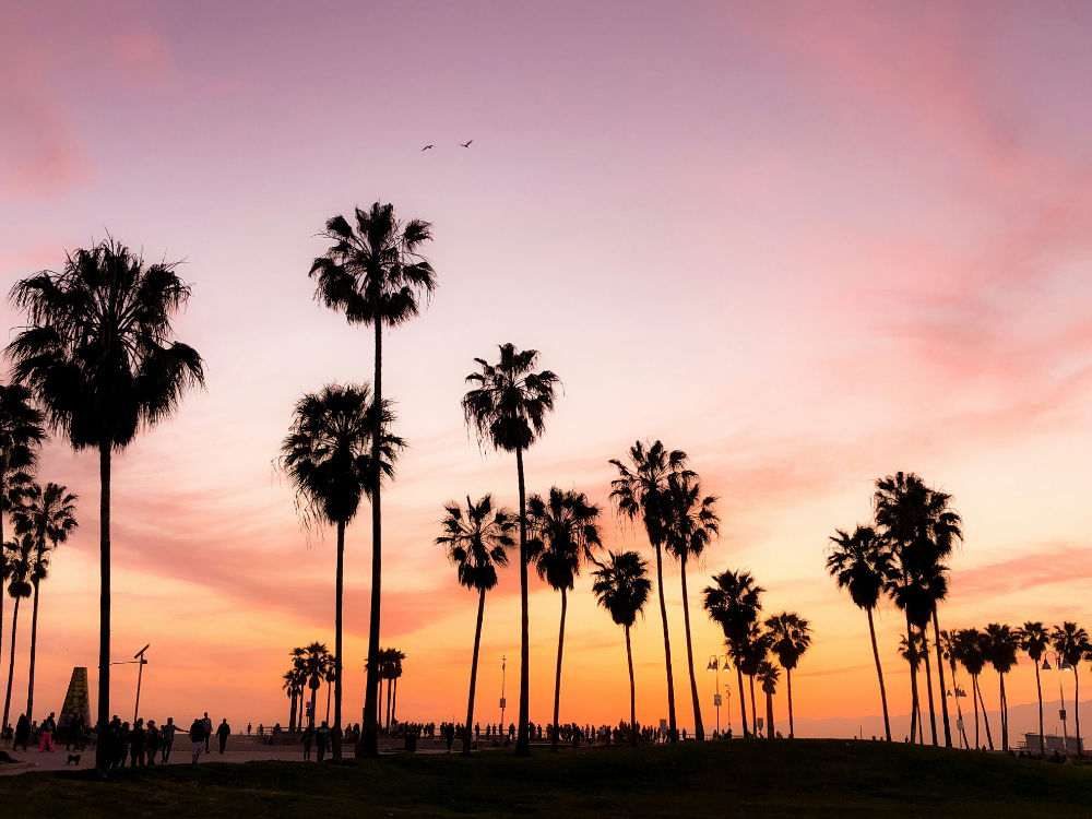 Venice Beach, Los Angeles